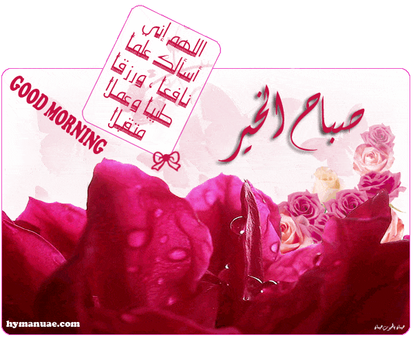 صور صباح الخير Good morning