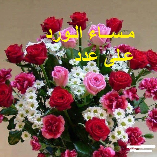 صور مساء الخير جديده 2013