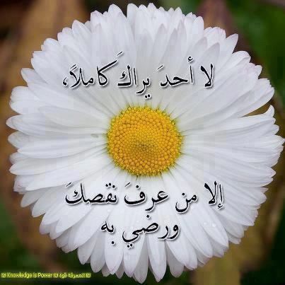 لا احد يراك كاملآ إلا من عرف نقصك ورضي به لا احد يراك كاملآ إلا من عرف نقصك ورضي به