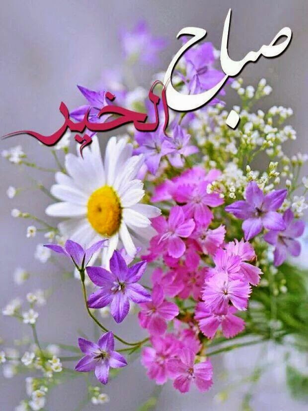 صباح الخير صور ورود