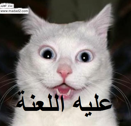 صور تعليقات وردود للفيس بوك