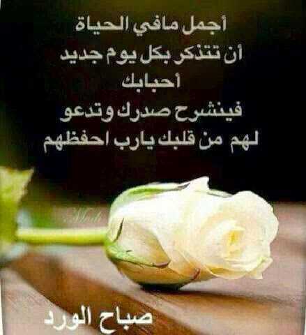 صور صباح الورد 