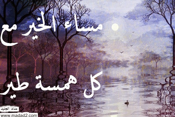 صور مساء الخير كلمات للمساء أجمل صور مسائية 2015