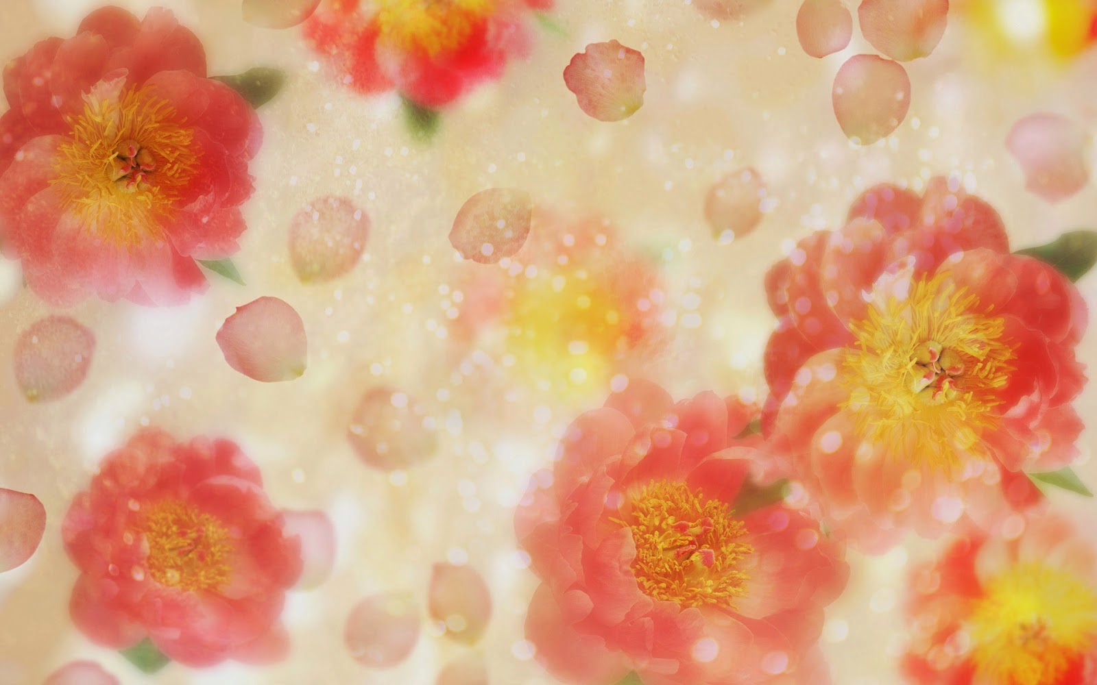 خلفيات ورود عالية الدقه 2015