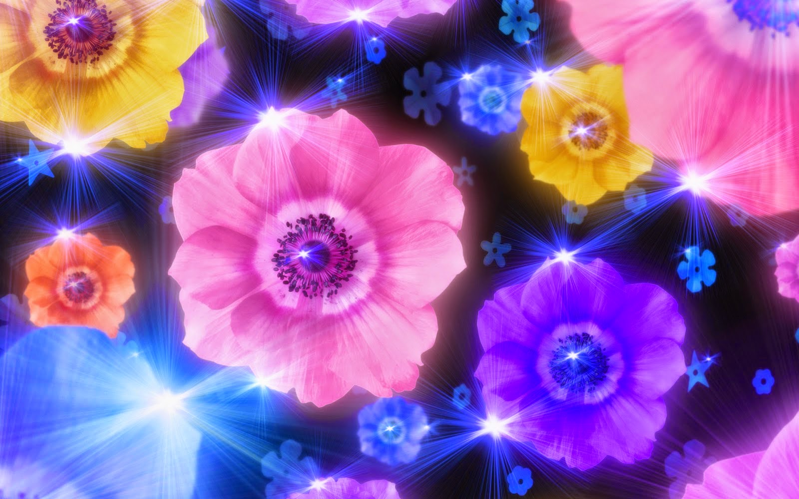 خلفيات ورود عالية الدقه 2015