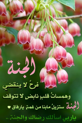  اجمل الحكم والامثال والمواعظ, اجمل الحكم والمواعظ الدينية, اجمل الحكم والمواعظ الاسلاميه, اجمل ما قيل في الحكم والامثال, من اجمل الحكم والامثال, اجمل الحكم والاقوال والعبر, اجمل الحكم والامثال المضحكه, من اجمل الحكم والاقوال