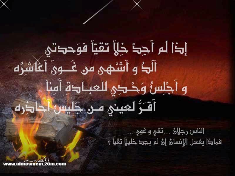 كلمات معبرة عن الصداقة