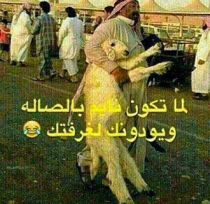 صور مضحكة جدا