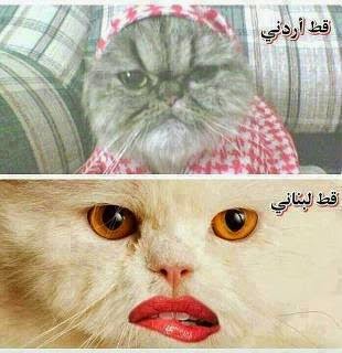 صور مضحكة عن الاردن