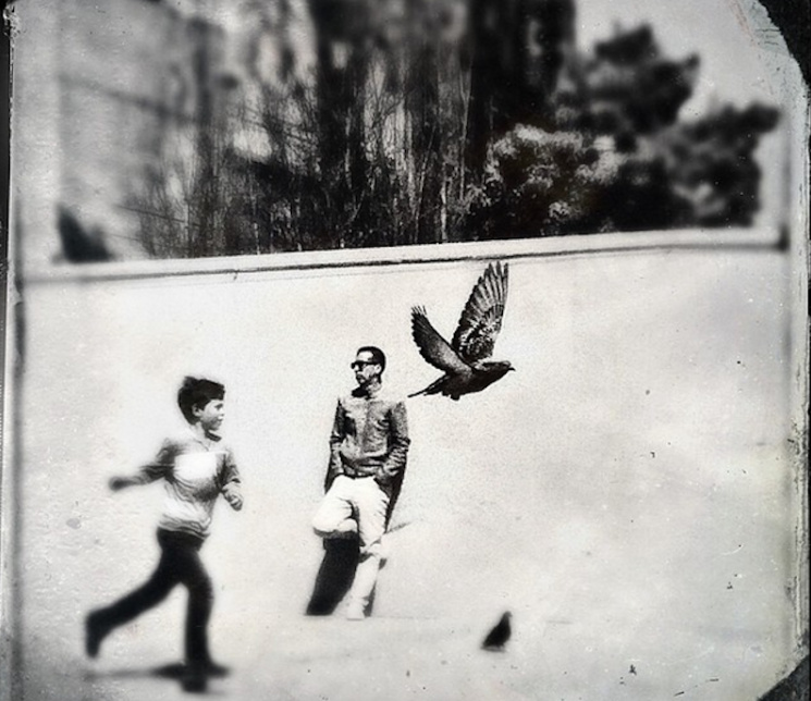 صور مدهشة لاتصدق أنها أخذت بهواتف ذكية