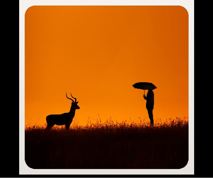 صور مدهشة لاتصدق أنها أخذت بهواتف ذكية