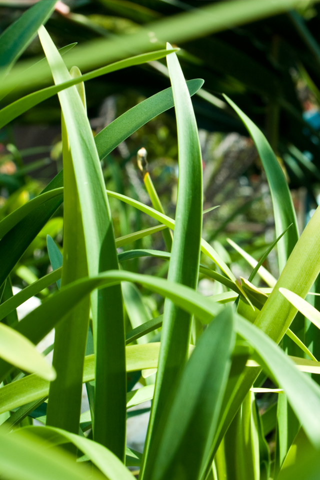 خلفيات عالية الجودة للموبايل خلفيات عالية الدقة hd خلفيات عالية الدقة للتصميم خلفيات عالية الدقة للاندرويد خلفيات بدقة عالية للتصميم خلفيات بجودة عالية خلفيات عالية الدقة لسطح المكتب خلفيات عالية الدقة للفوتوشوب