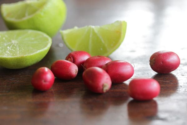 الفاكهة-المعجزة-Miracle-Fruit