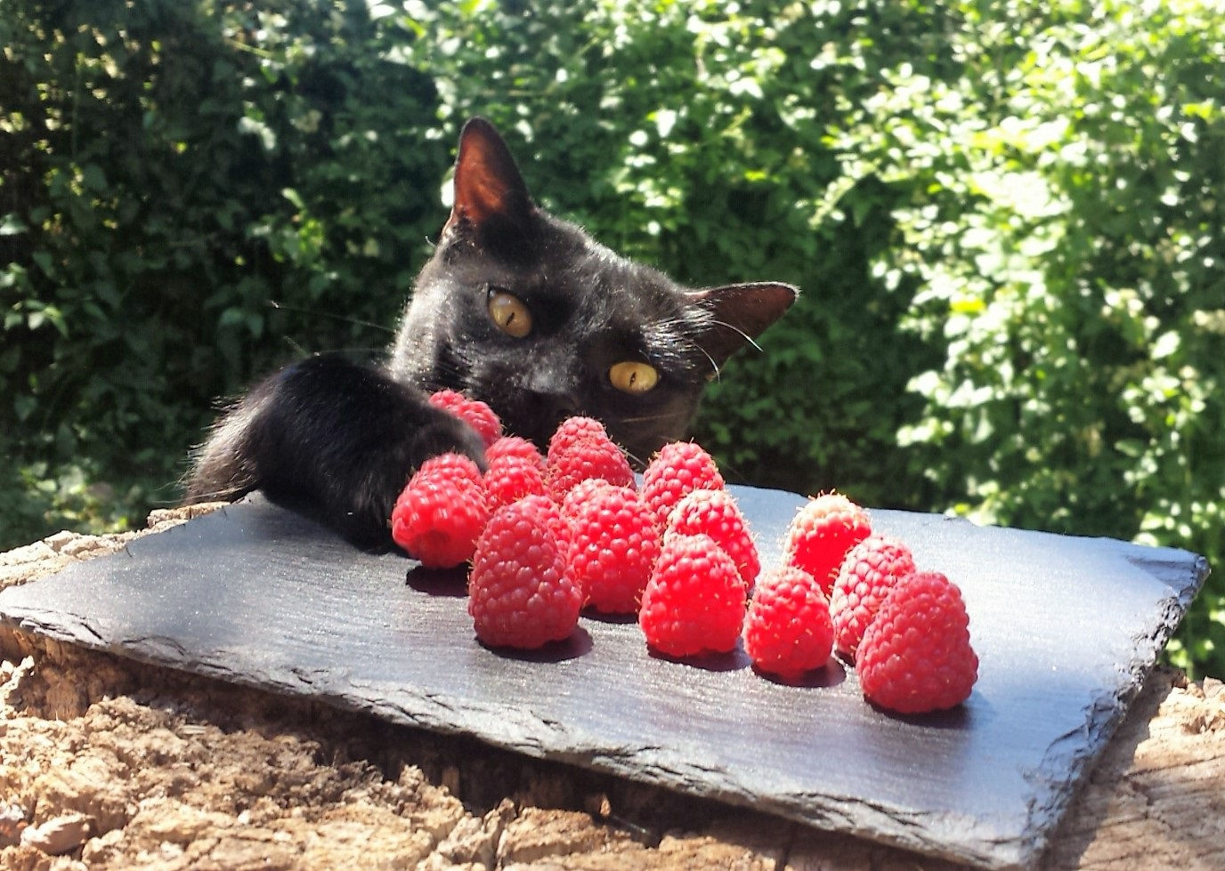 خلفيات ايفون 6 خلفيات حلوه خلفيات واتس اب خلفيات hd خلفيات روعه للتصميم خلفيات 2016 خلفيات جميلة خلفيات فيس بوك خلفيات جميلة للواتس اب خلفيات جميلة للايفون خلفيات جميلة للكمبيوتر خلفيات جميلة 2017 خلفيات جميلة متحركة خلفيات جميلة جدا خلفيات جميلة للبنات خلفيات جميلة جدا للبنات