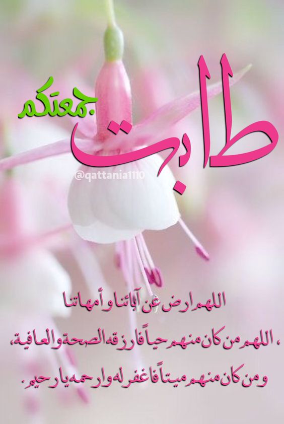 رسائل ليوم الجمعه كلام عن يوم الجمعه ادعية يوم الجمعة بالصور تحية الجمعة للاصدقاء برودكاست يوم الجمعه ادعية يوم الجمعة مكتوبة ادعية ليوم الجمعة ادعيه وصور يوم الجمعه رسائل ليوم الجمعه كلام عن يوم الجمعه ادعية يوم الجمعة بالصور تحية الجمعة للاصدقاء برودكاست يوم الجمعه ادعية يوم الجمعة مكتوبة ادعية ليوم الجمعة ادعيه وصور يوم الجمعه