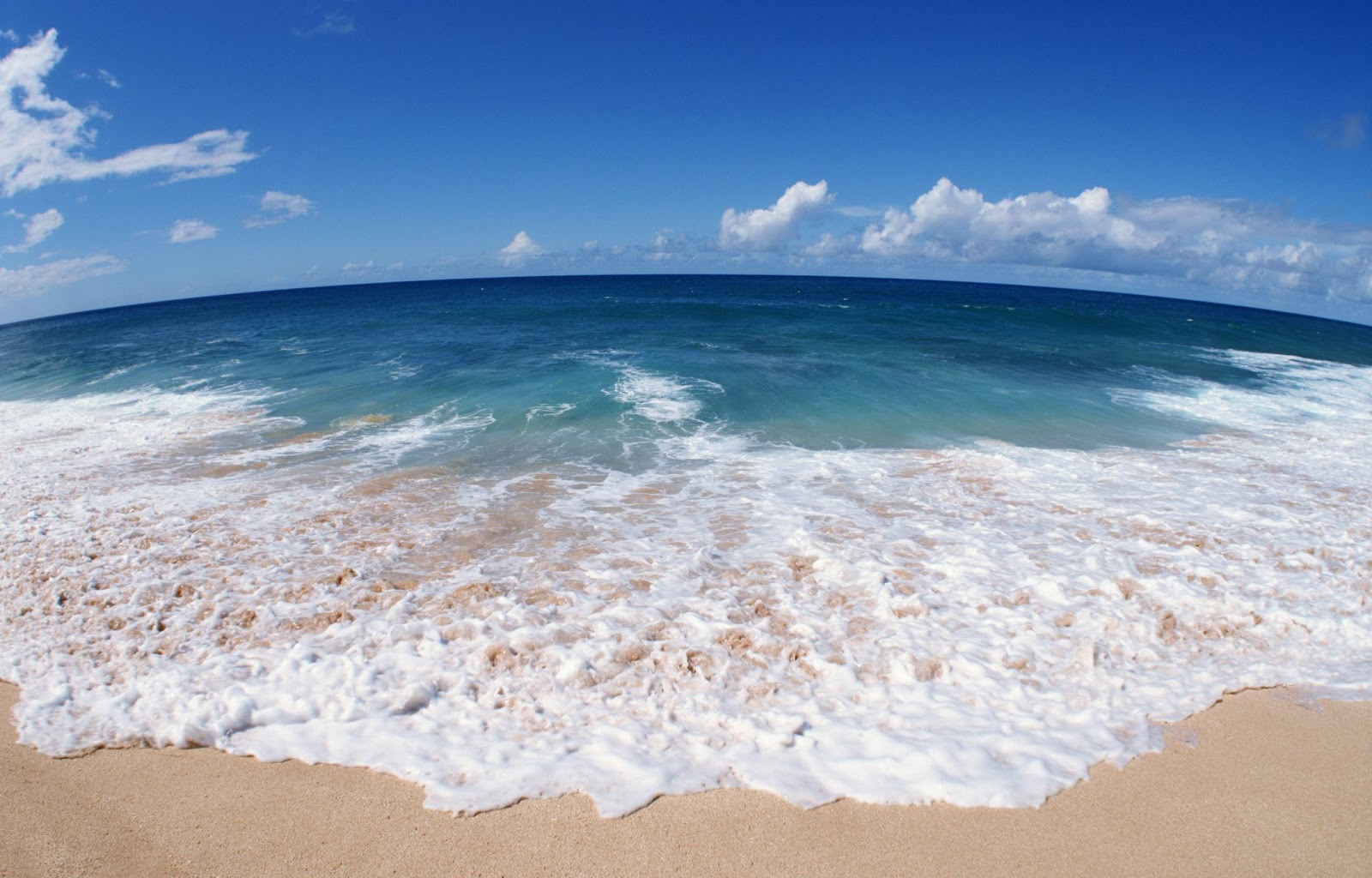 خلفيات بحر وسفن  خلفيات بحر للفوتوشوب  خلفيات بحر مكتوب عليها  مناظر البحر الطبيعية  ورود على شاطئ البحر  مناظر البحر الخلابة  ورد ع البحر  مناظر طبيعية للبحر والاسماك خلفيات بحر وسفن  خلفيات بحر للفوتوشوب  خلفيات بحر مكتوب عليها  مناظر البحر الطبيعية  ورود على شاطئ البحر  مناظر البحر الخلابة  ورد ع البحر  مناظر طبيعية للبحر والاسماك