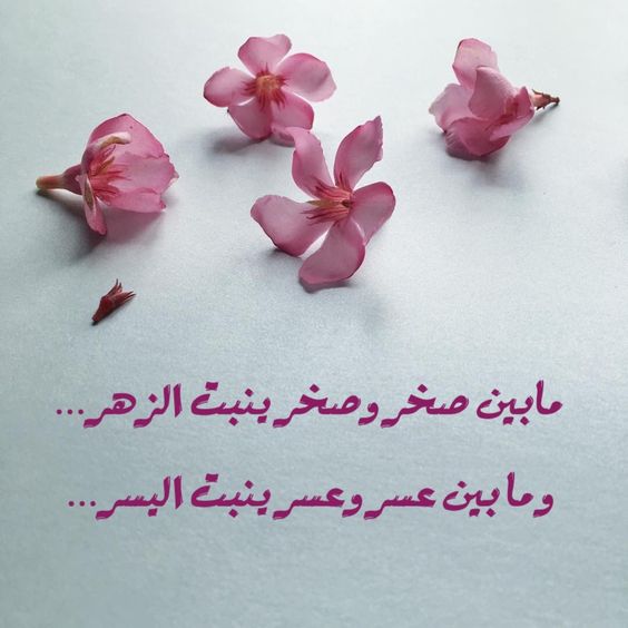 مابين صخر وصخر ينبت الزهر .. ومابين عسر وعسر ينبت اليسر مابين صخر وصخر ينبت الزهر .. ومابين عسر وعسر ينبت اليسر