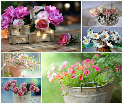 تنزيل اجمل صور خلفيات لسلال الزهور والورود hd عالية الدقة