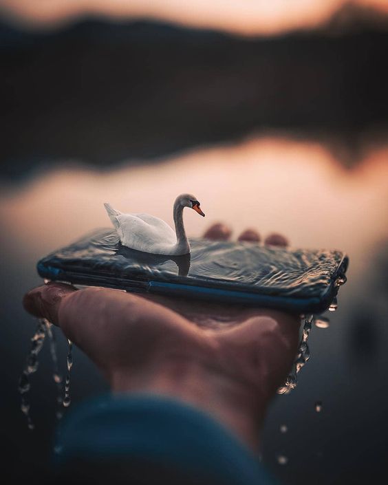 صور خلفيات هواتف محمولة جديدة ومتنوعة